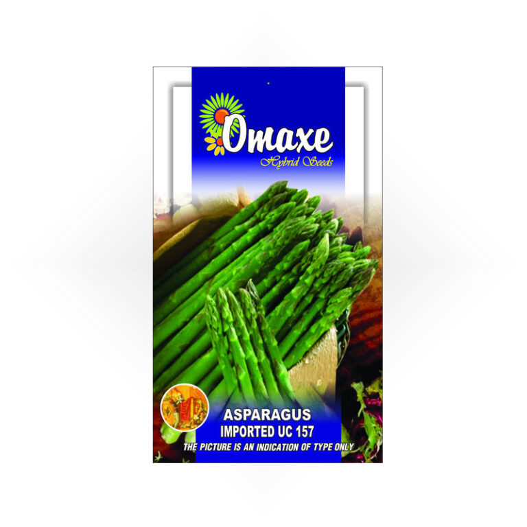 Asparagus Imported UC-157 (20 seeds) - omaxe seeds