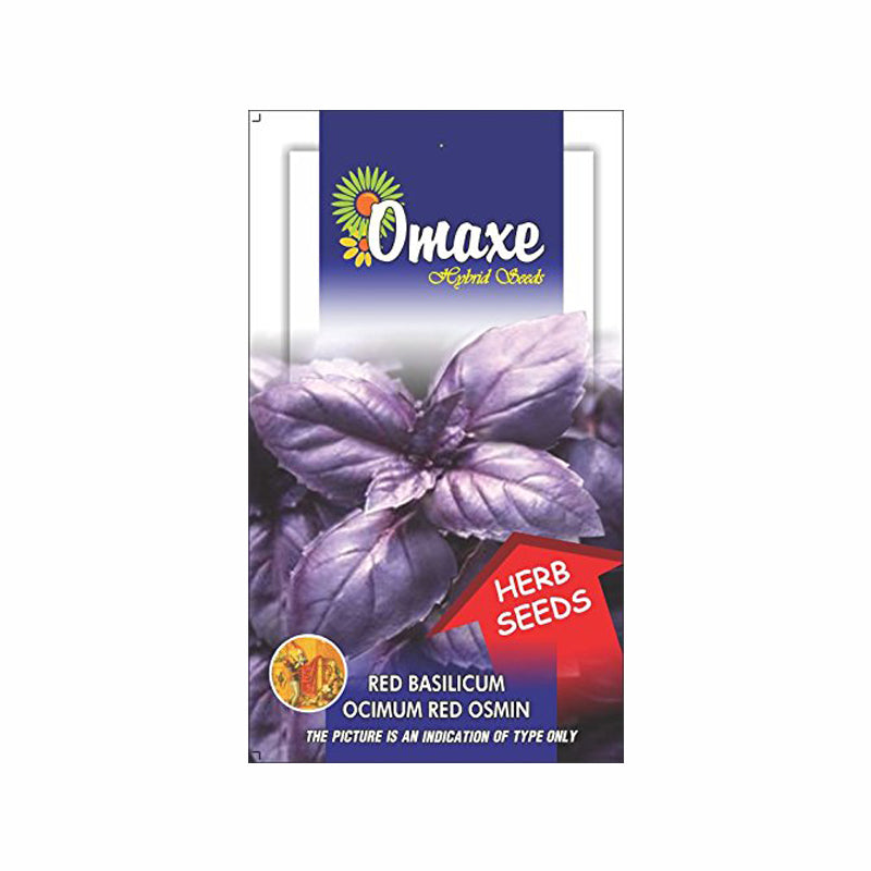 Basil Red Osmin Seeds(100 Seeds) - omaxe seeds Basil Red Osmin Seeds(100 Seeds) - omaxe seeds