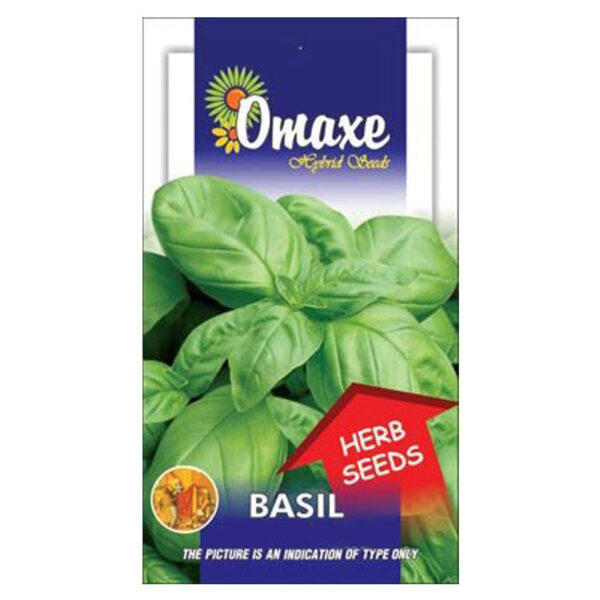 Basil Seeds (50 Seeds) - omaxe seeds