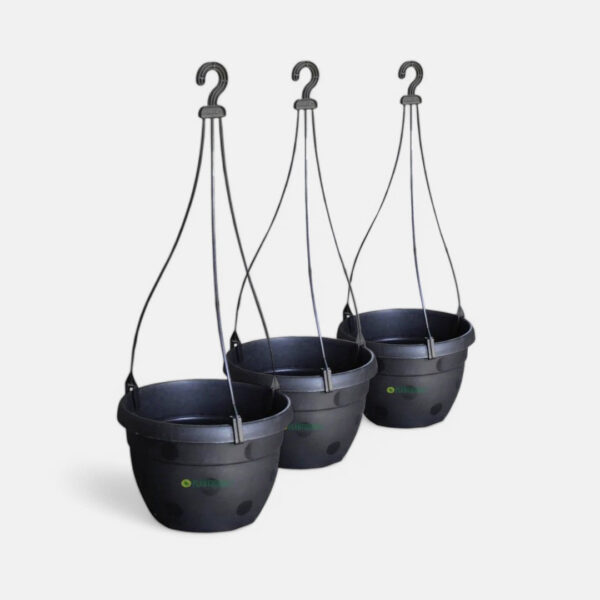 Blossom Hanging Basket Black (Pack of 3)