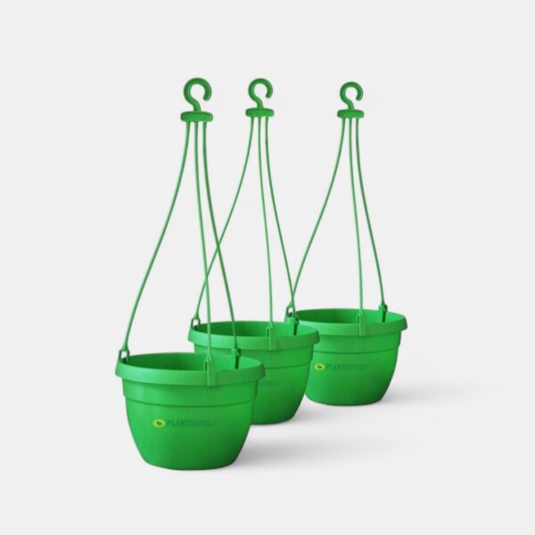 Blossom Hanging Basket Green (Pack of 3)