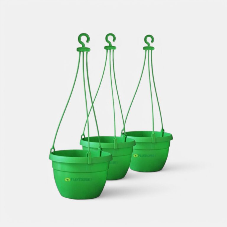 Blossom Hanging Basket Green (Pack of 3)