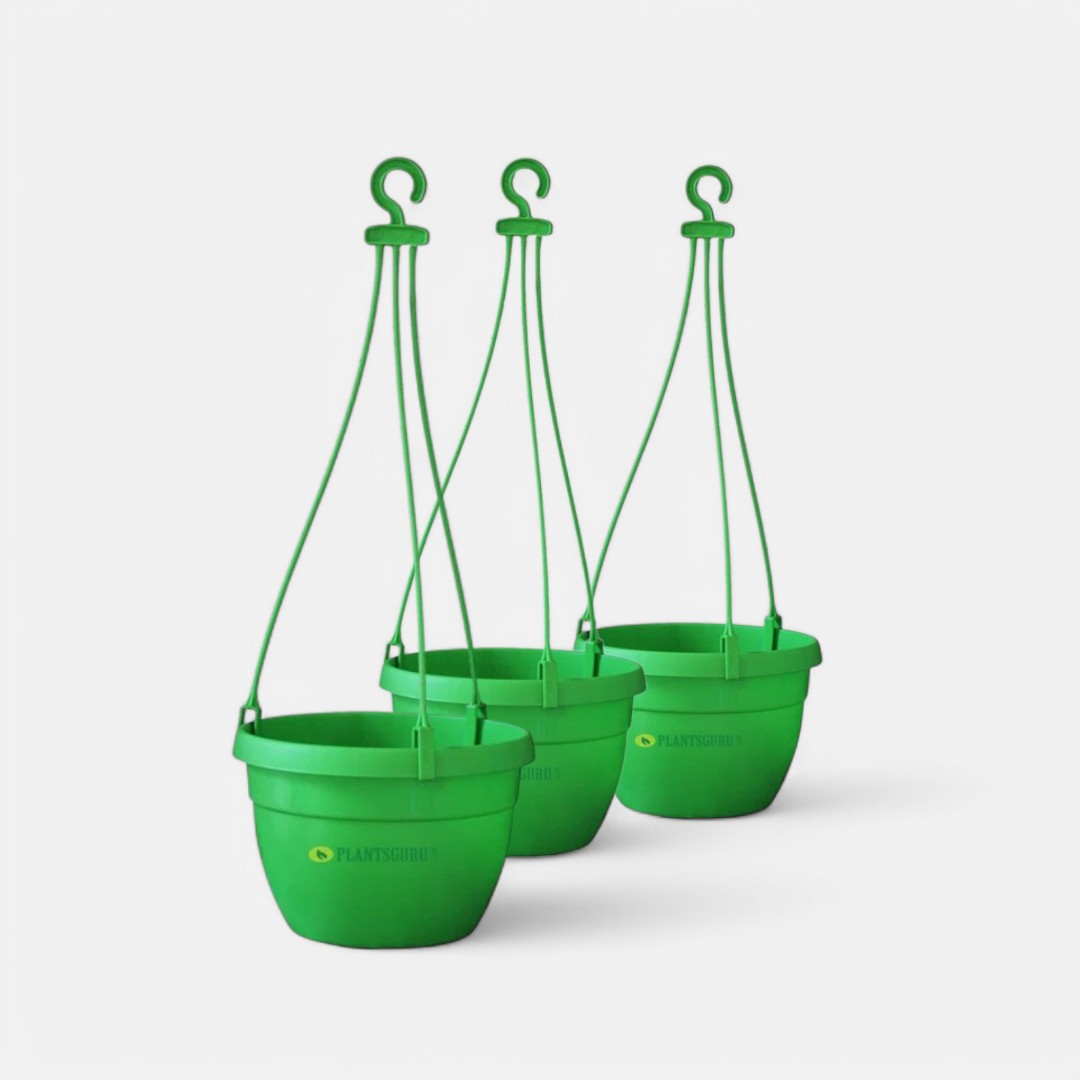 Blossom Hanging Basket Green (Pack of 3) Blossom Hanging Basket Green (Pack of 3)