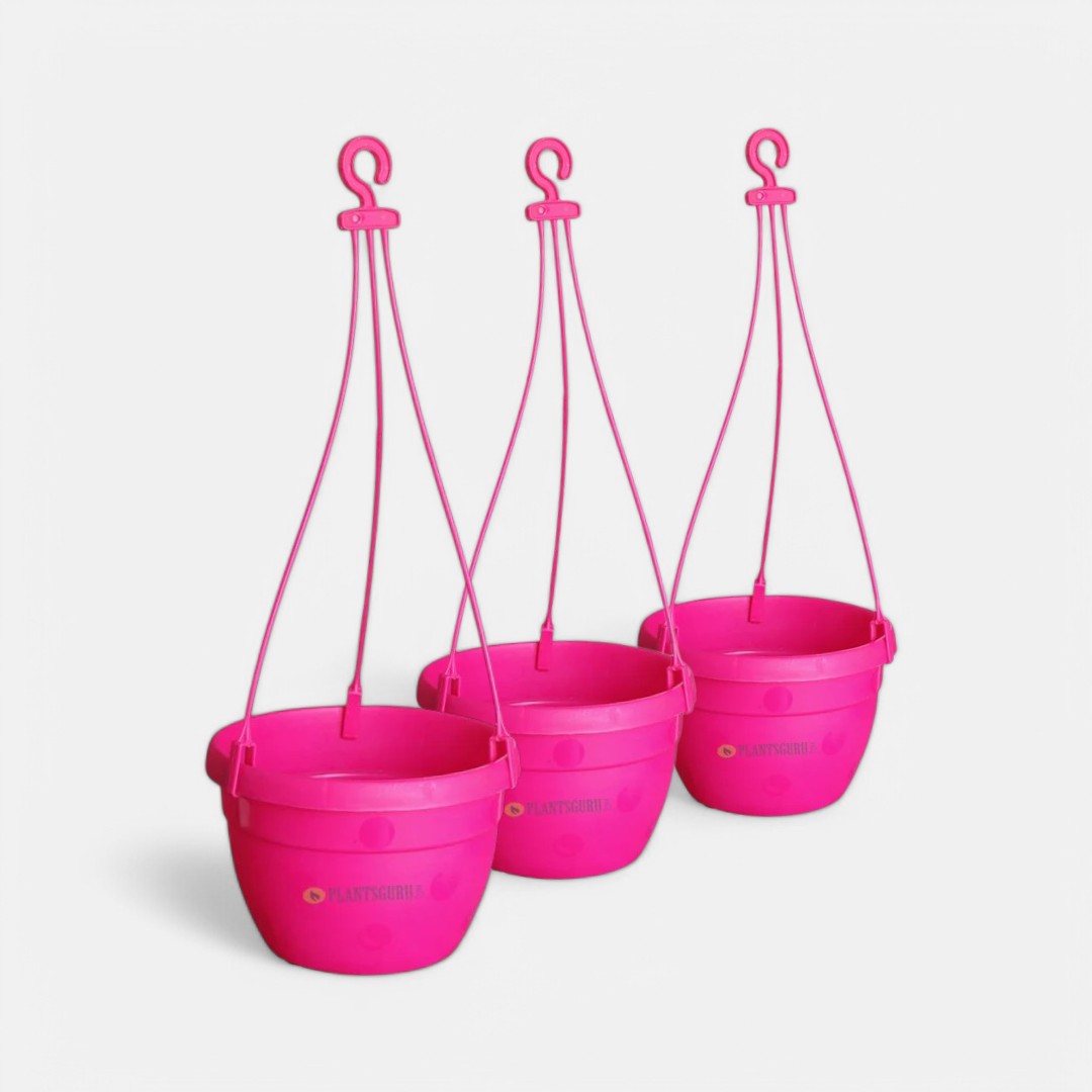 Blossom Hanging Basket Pink (Pack of 3) Blossom Hanging Basket Pink (Pack of 3)