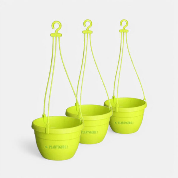 Blossom Hanging Basket Yellow (Pack of 3)