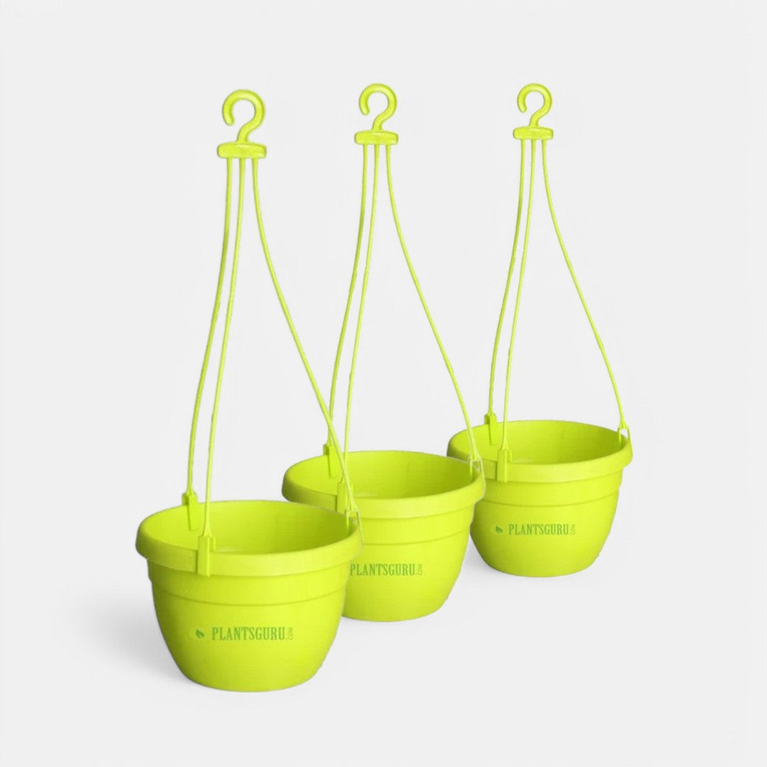 Blossom Hanging Basket Yellow (Pack of 3) Blossom Hanging Basket Yellow (Pack of 3)