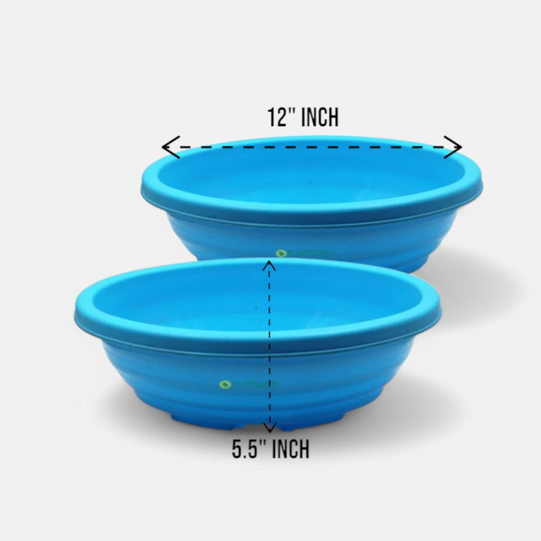 Bonsai Oval Blue 12 Inch (Pack of 2)
