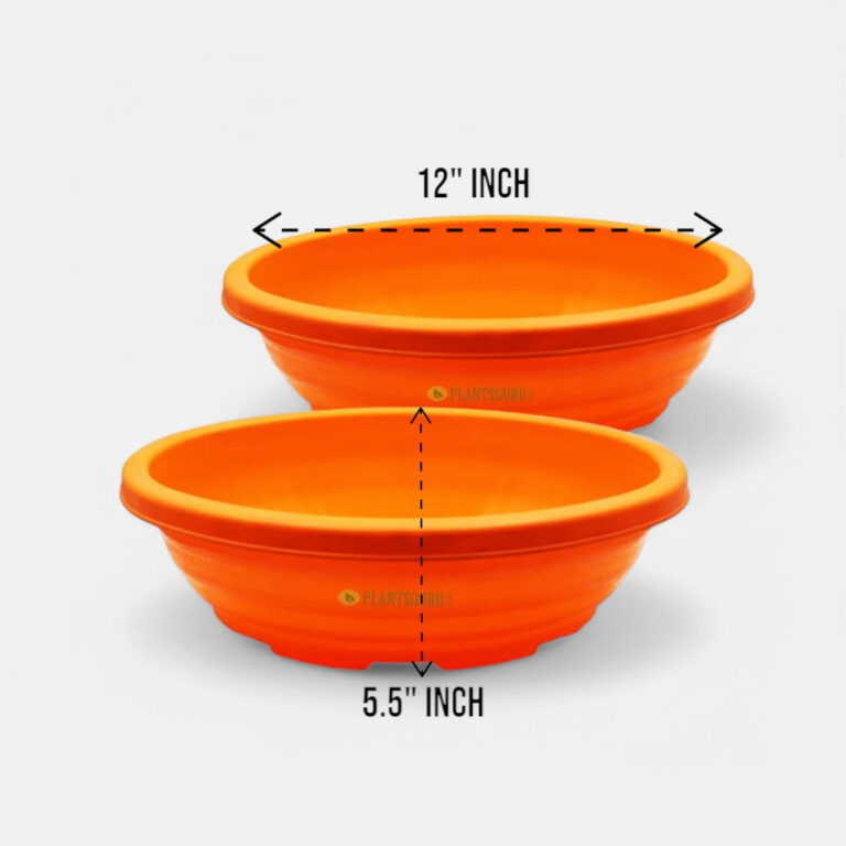 Bonsai Oval Orange 12 Inch (Pack of 2)