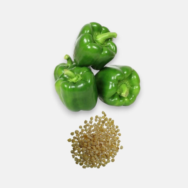 Capsicum Green Imported (50 seeds) - Sunrise