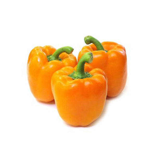 Capsicum Orange Imported (30 seeds) - omaxe seeds