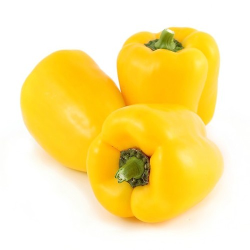 Capsicum Yellow Imported (30 seeds) - omaxe seeds