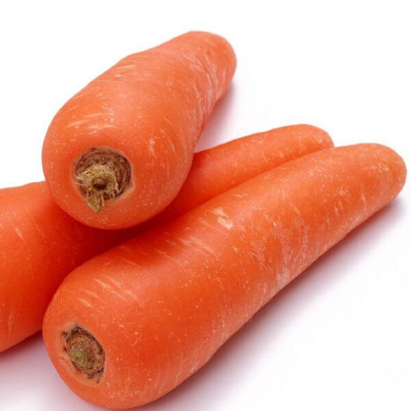 Carrot Early Nantes Imp. Seeds - omaxe seeds