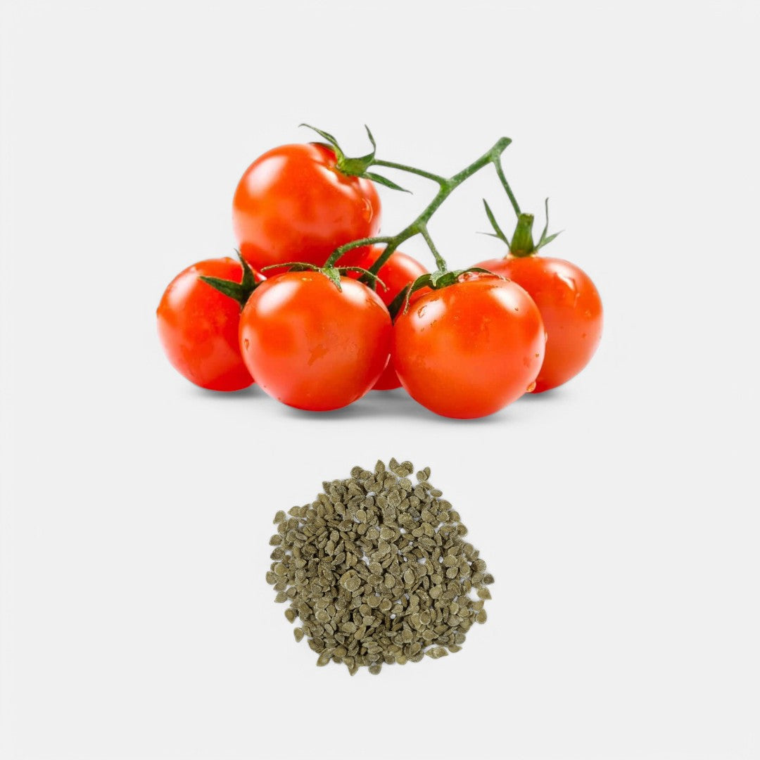 Cherry Tomato IMP F1-Hybrid (50 seeds) - Sunrise Cherry Tomato IMP F1-Hybrid (50 seeds) - Sunrise