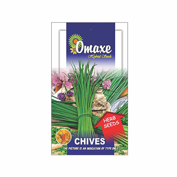 Chives Herb Seeds (30 Seeds) - omaxe seeds