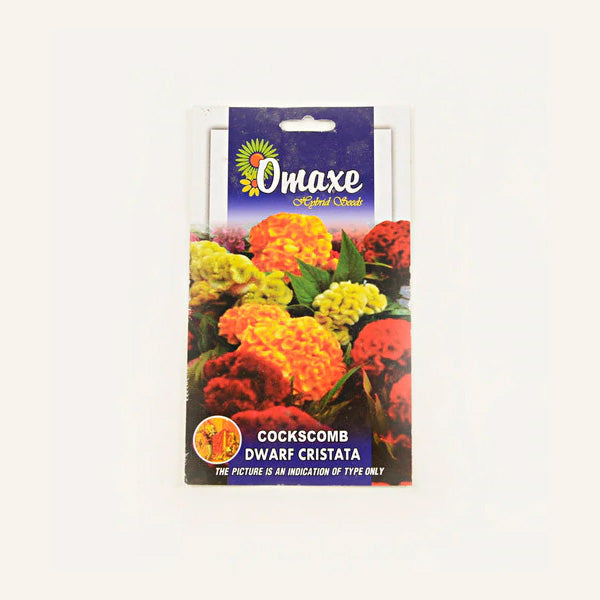 Cockscomb Dwarf Cristata Seeds - omaxe seeds