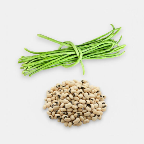 Cowpea - Long Beans Seeds 6gm | Sunrise