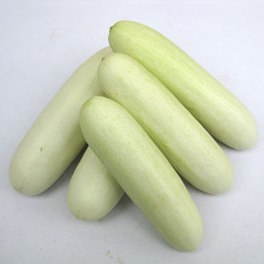 Cucumber F1 Snow White seeds - omaxe seeds