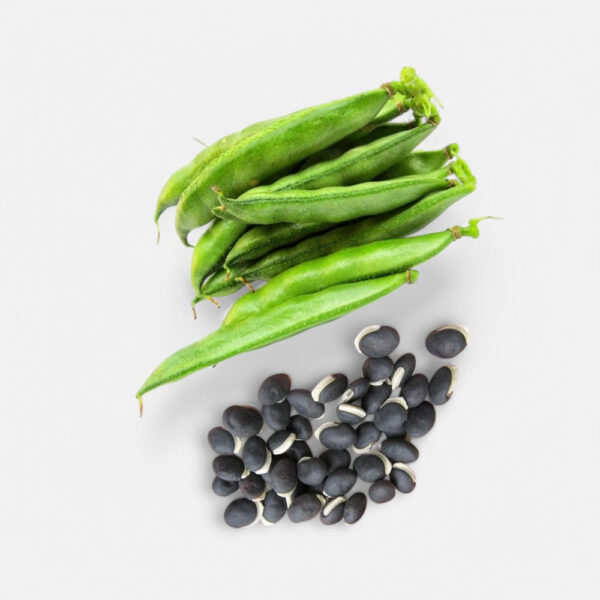 Dolichos Seeds - 8GM | Sunrise