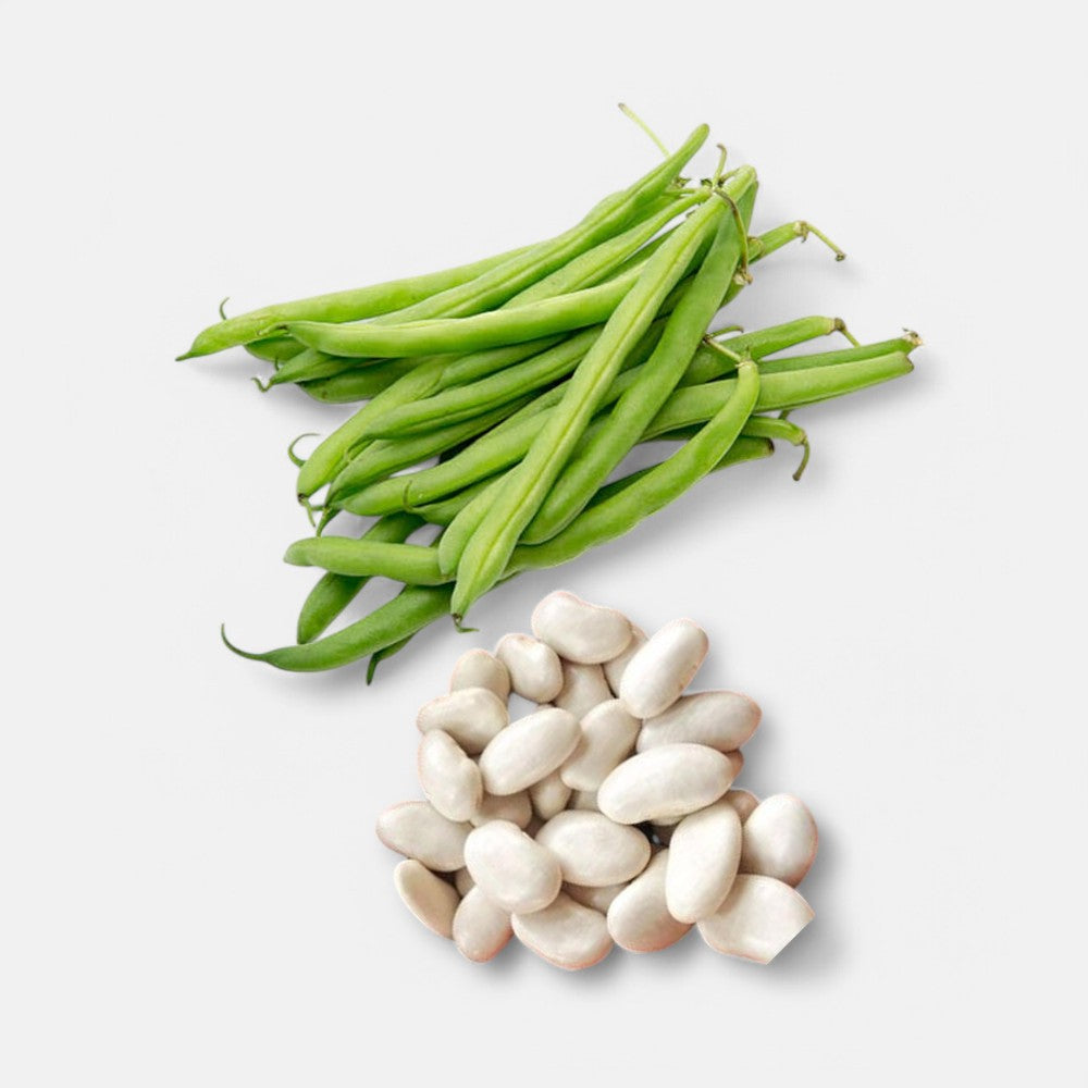 France Beans Seeds 8gm | Sunrise France Beans Seeds 8gm | Sunrise
