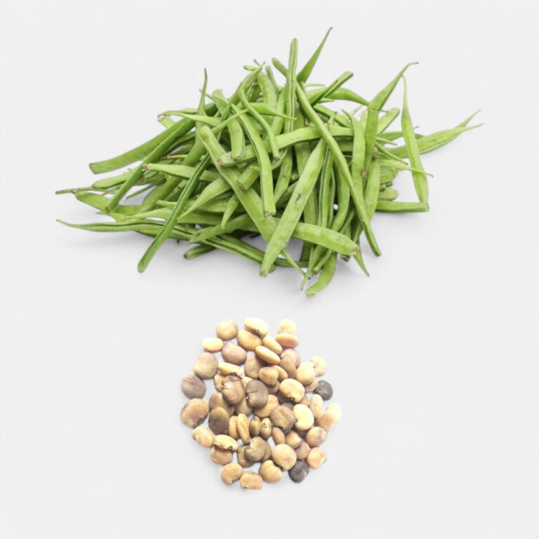 Gawar Phali - Cluster Beans Seeds 6gm | Sunrise