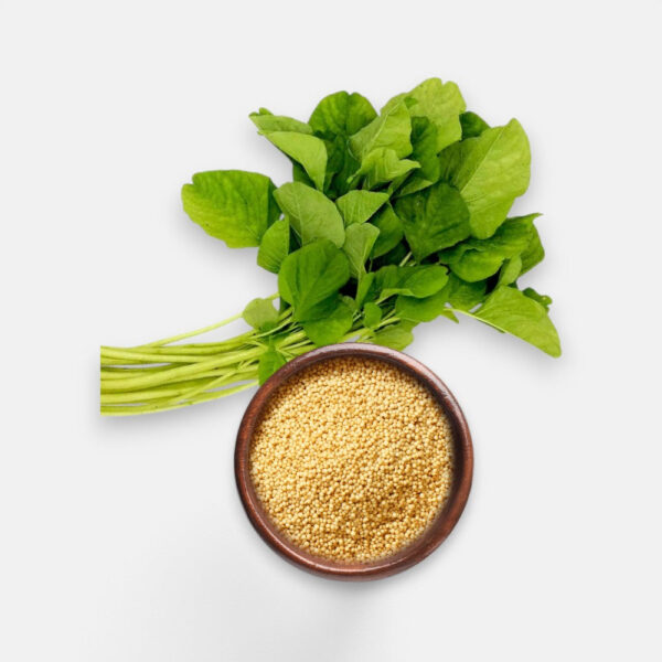 Green Amaranthus Seeds 6gm | Sunrise