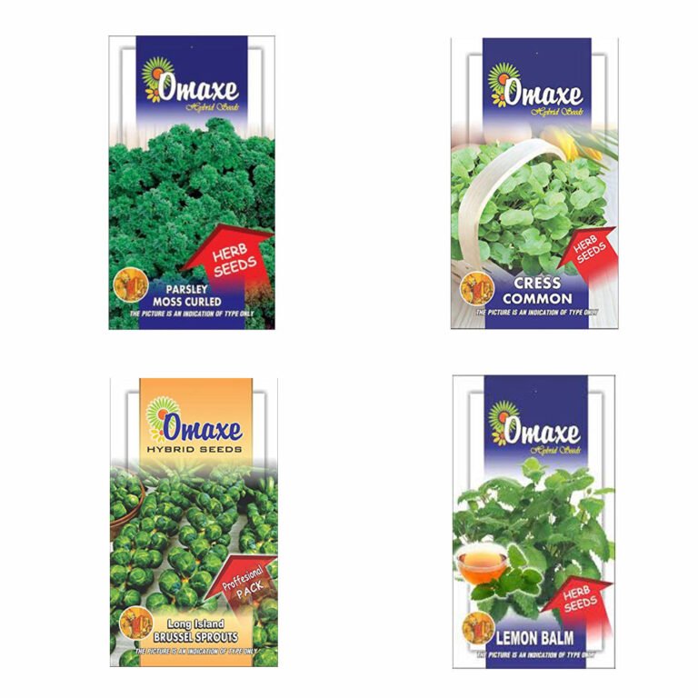 Herb Seeds Pack of 4 (Lamon Balm, Long Island Brussel, Parsley Moss Curled, Cress Common) - omaxe seeds