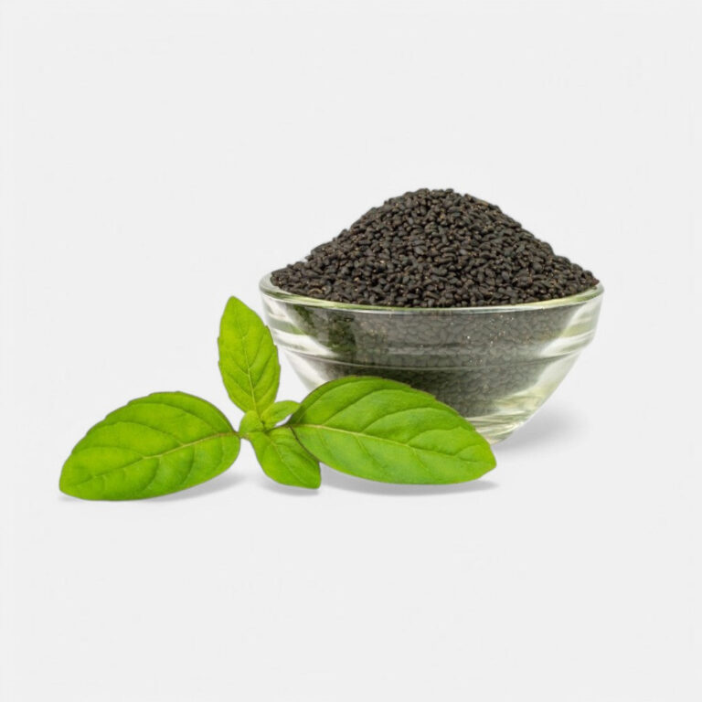Holy Basil Seed (30 seeds) - Sunrise