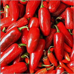 Hot Pepper Red Sampurna seeds (50 Seeds) - omaxe seeds