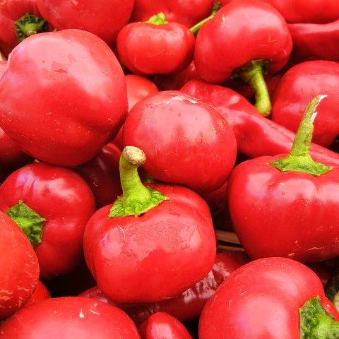 Hot Pepper Round Shaji 30 Seeds - omaxe seeds