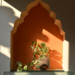 Kokedama Moss Ball Pearls & Jade Pothos Plant