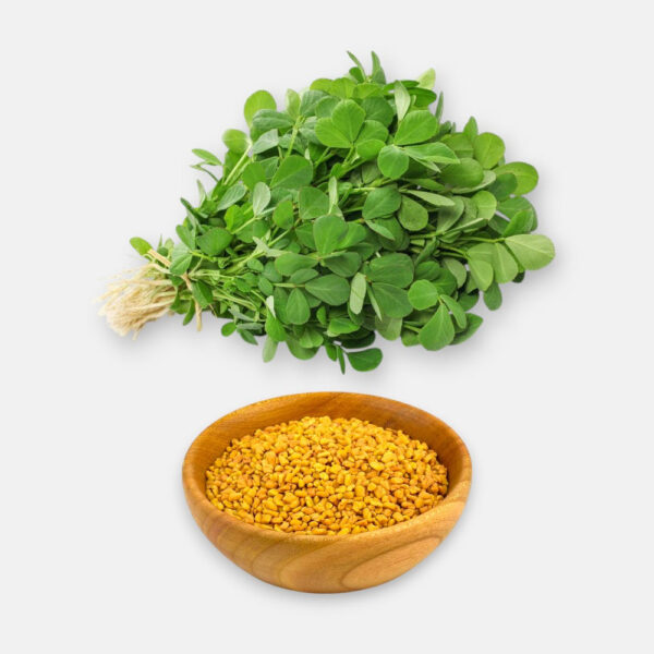 Methi - Fenugreek Seeds 8gm | Sunrise