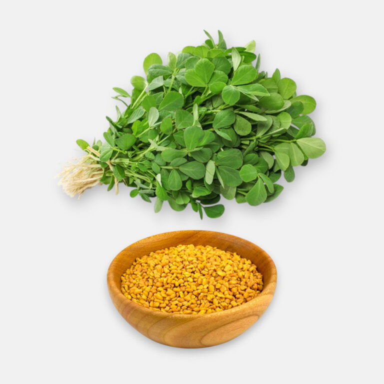Methi - Fenugreek Seeds 8gm | Sunrise