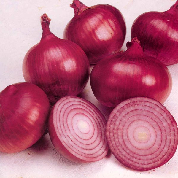 Onion Improved Dark Red seeds - omaxe seeds