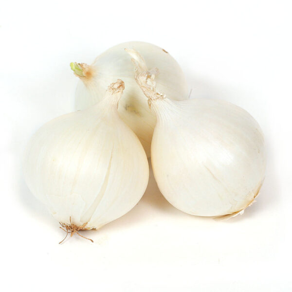 Onion White Globe Seeds - omaxe seeds