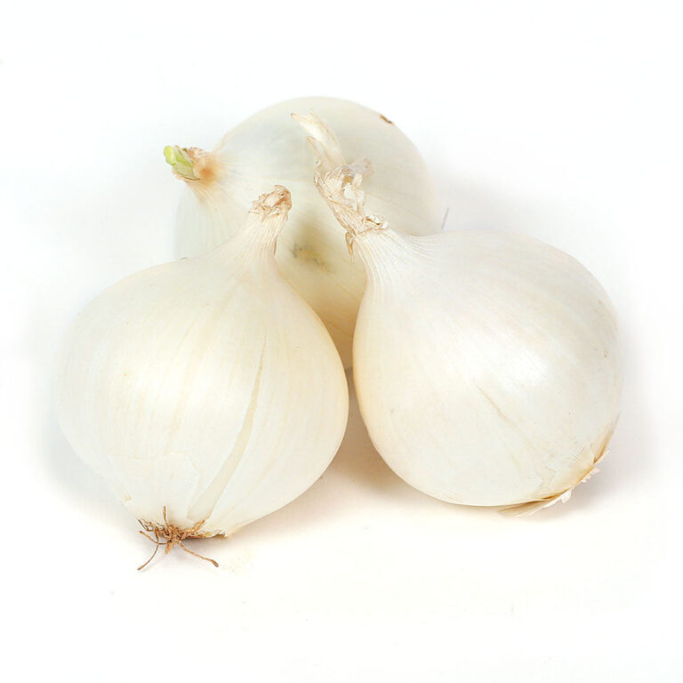Onion White Globe Seeds - omaxe seeds