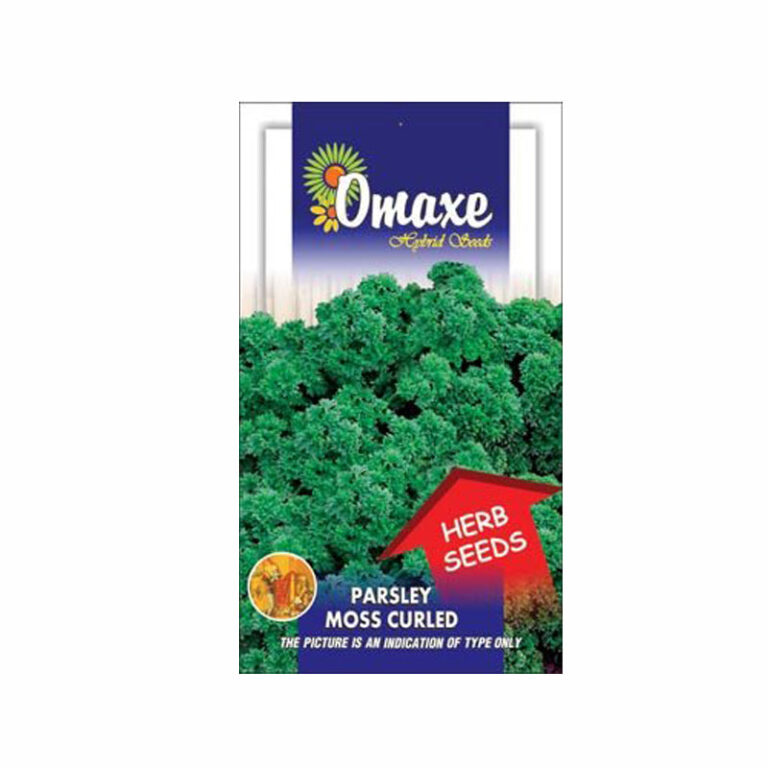 Parsley Moss Curled Seeds - omaxe seeds