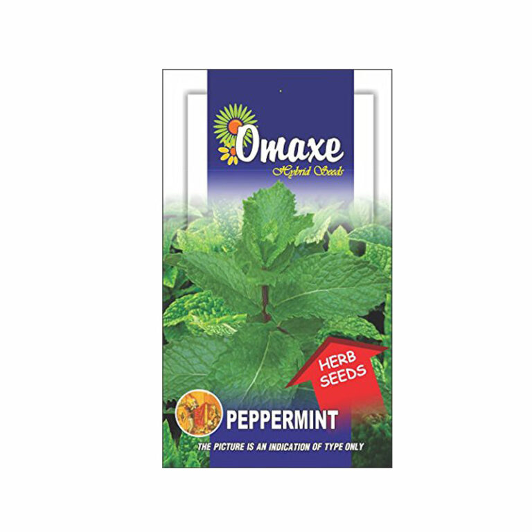Peppermint Seeds (20-30 Seeds) - omaxe seeds