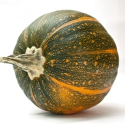 Pumpkin F1 Hybrid Bheema Seeds - omaxe seeds