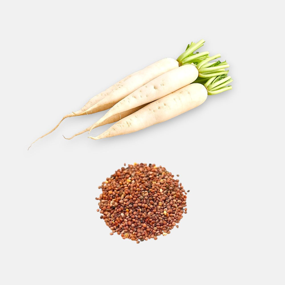 Radish Seeds 5gm | Sunrise Radish Seeds 5gm | Sunrise