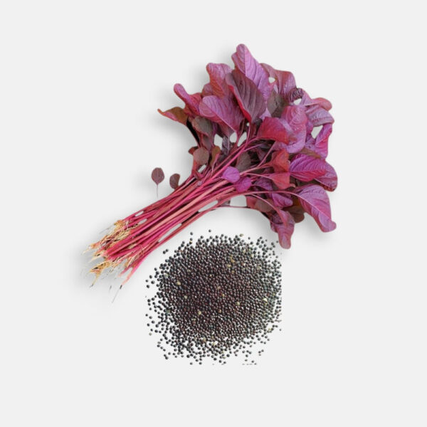 Red Amaranthus Seeds 6gm | Sunrise