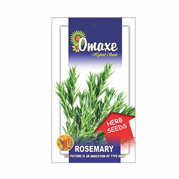 Rosemary Herb Seeds (20-30 Seeds) - omaxe seeds