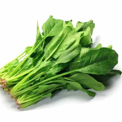 Spinach F1 Hybrid Seeds - Palak Seeds (25gm) - omaxe seeds