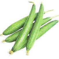 Sponge Gourd F1 White Long seeds - omaxe seeds