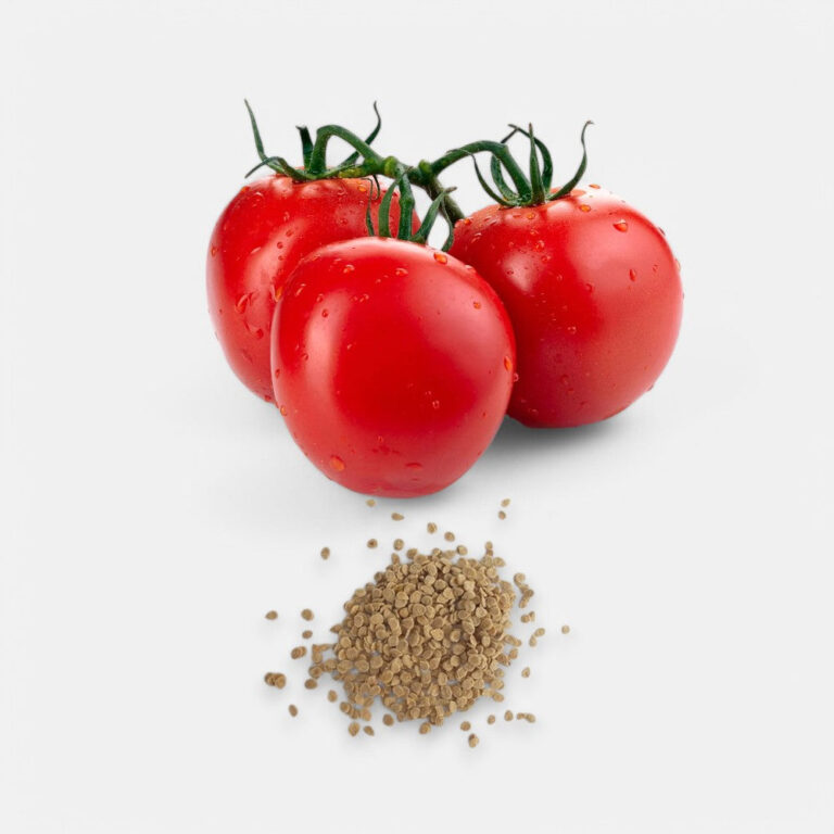Tomato Seeds 2gm | Sunrise