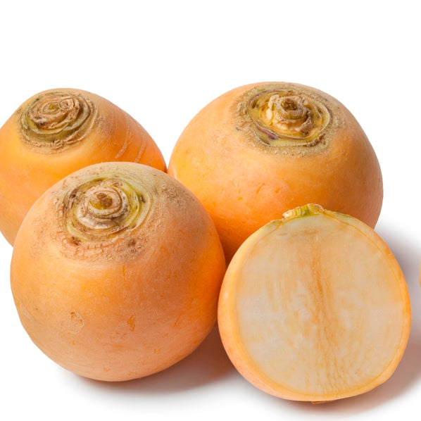 Turnip Imported Golden Yellow Seeds (5gm) - omaxe seeds