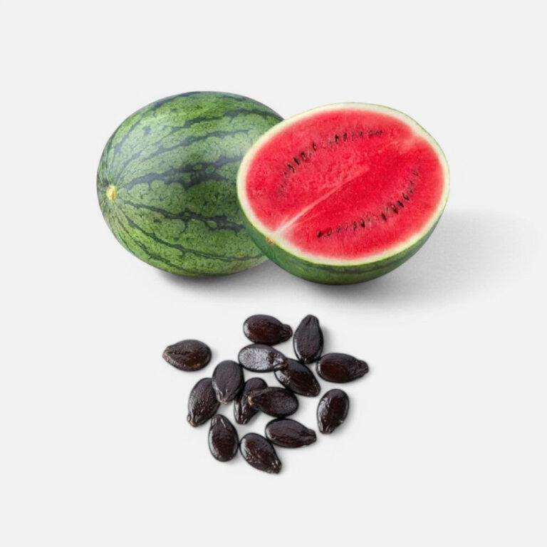 Water Melon Seeds 4gm | Sunrise