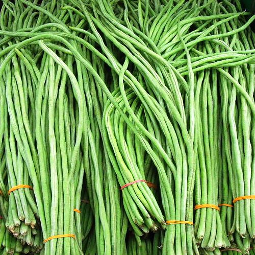 Yard long Beans Imported (40 seeds) - omaxe seeds
